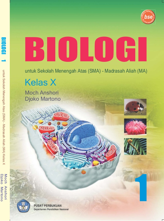 Buku erlangga kelas 10 biologi